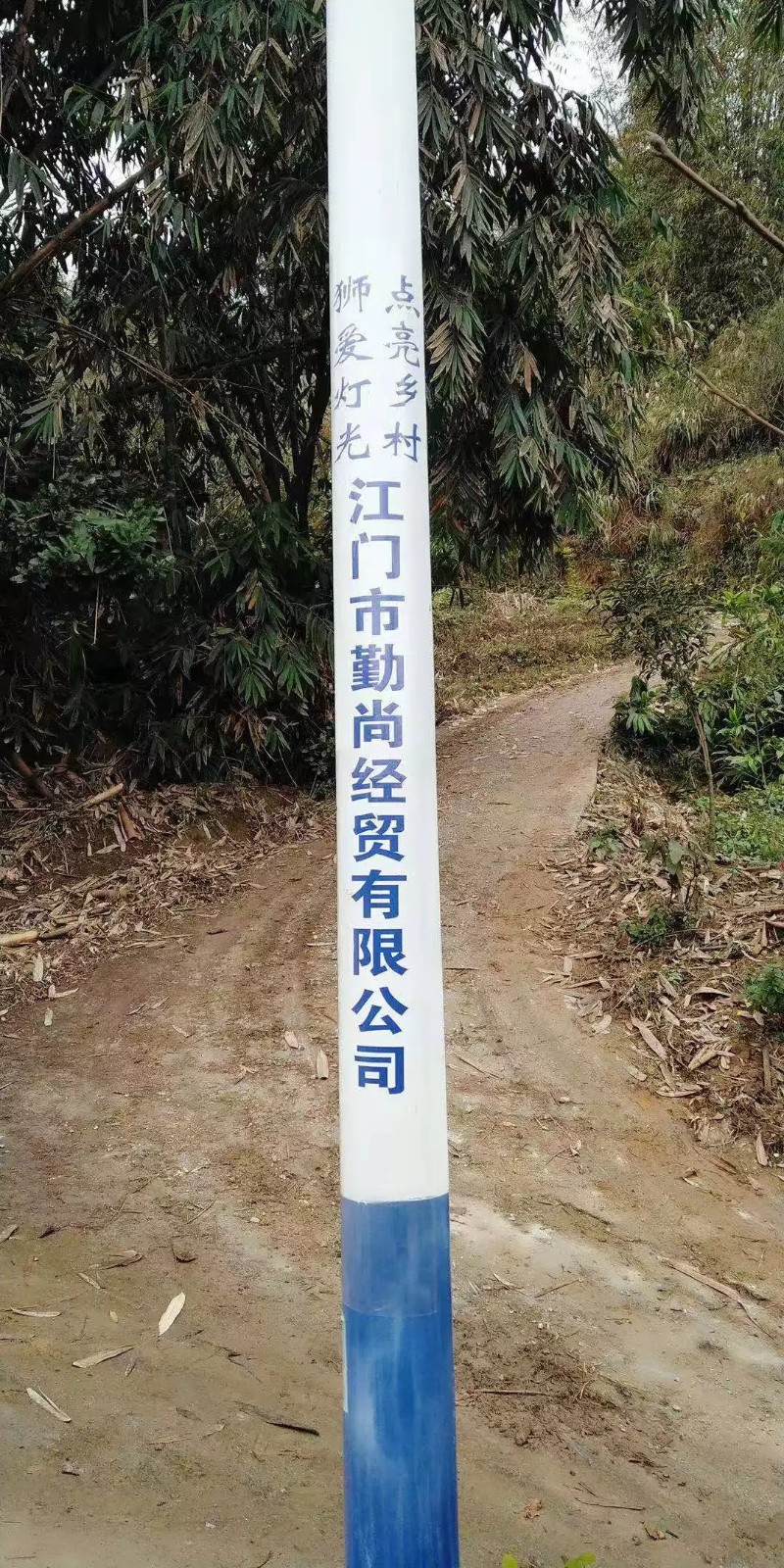 1575255781414620.jpg
